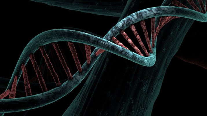 A DNA strand
