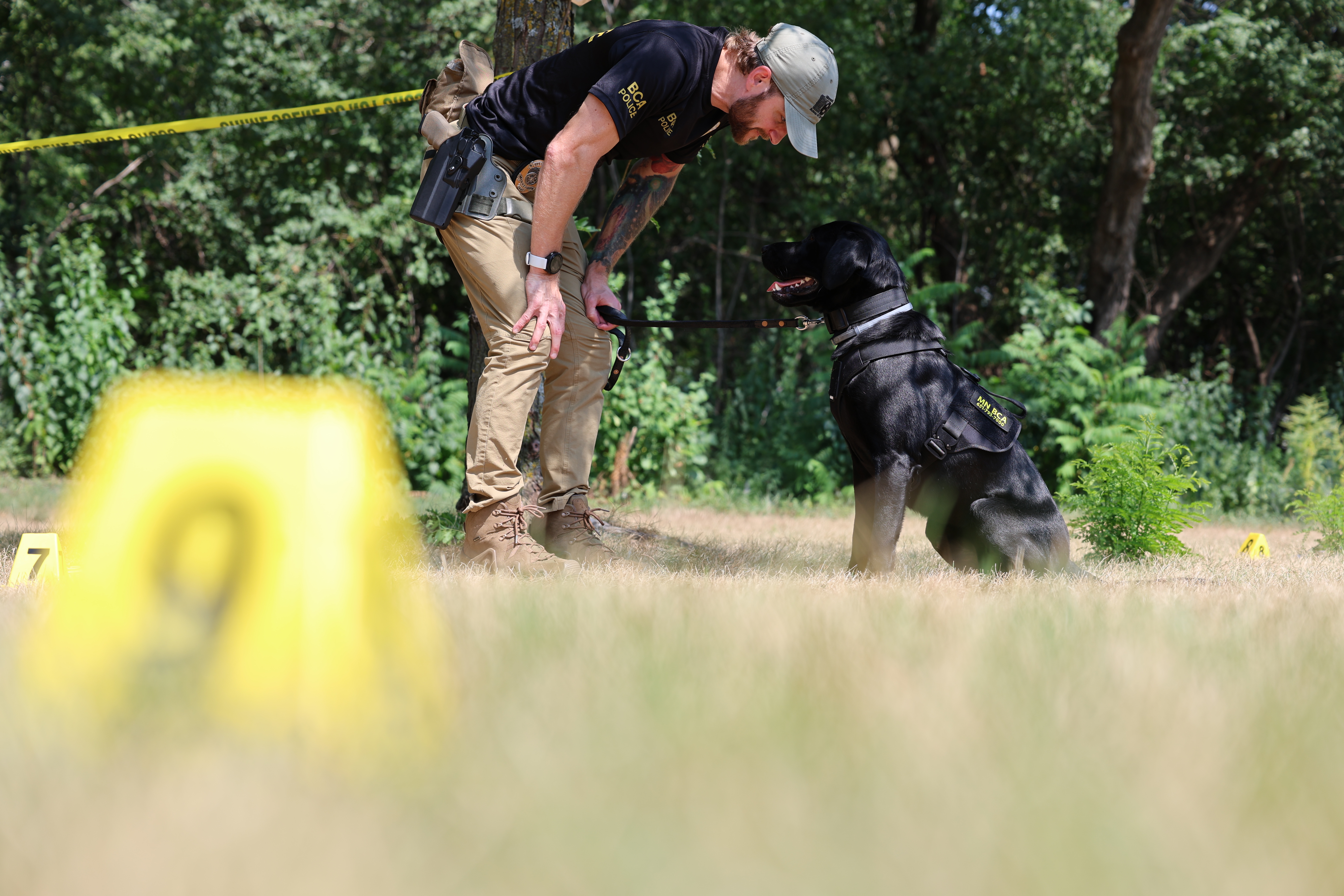 A nose for evidence: Meet the BCA’s newest K-9s