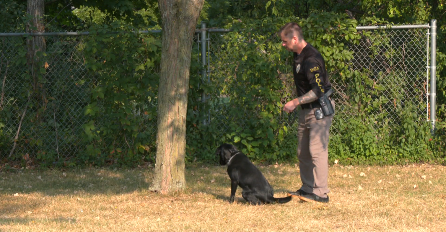 K-9 Mabel locates electronic device
