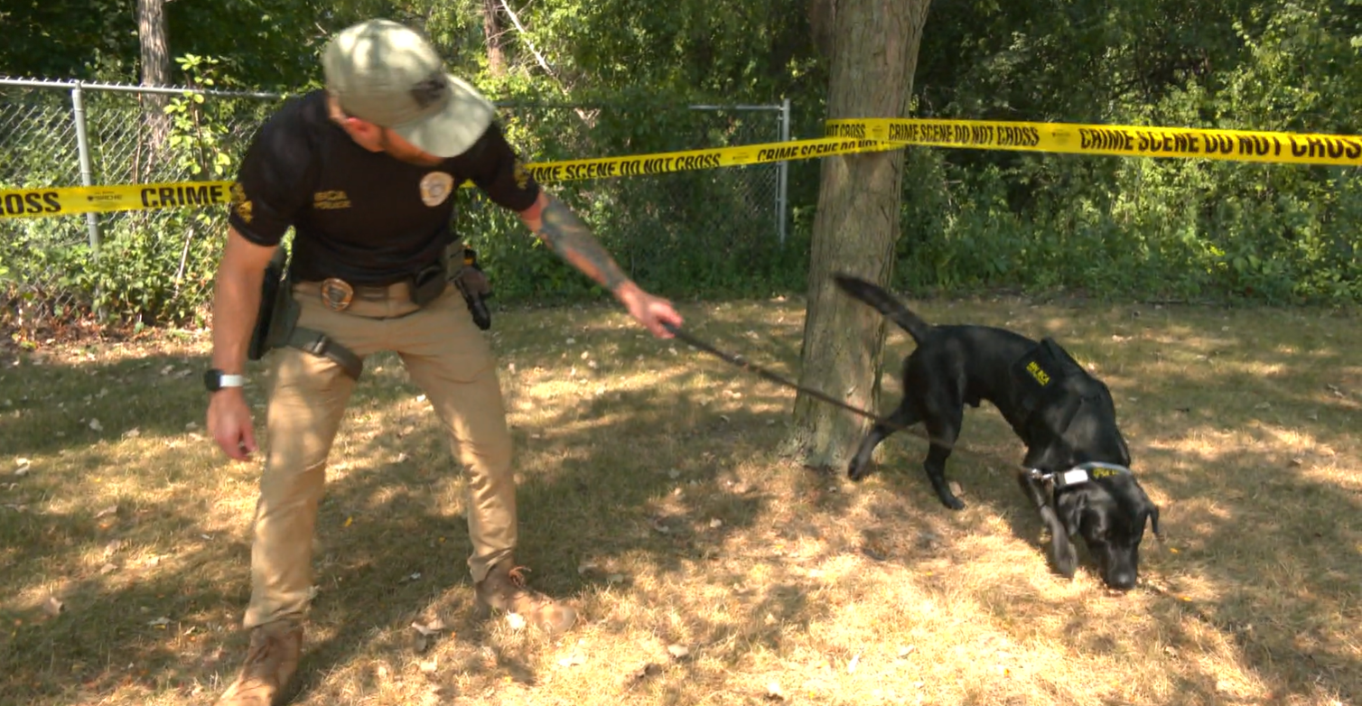 K-9 Sebastian and Special Agent Sachi training