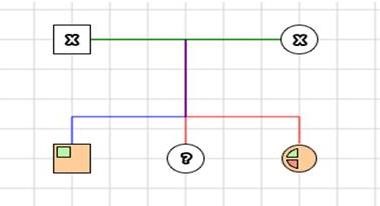Example of a pedigree used in missing persons cases.