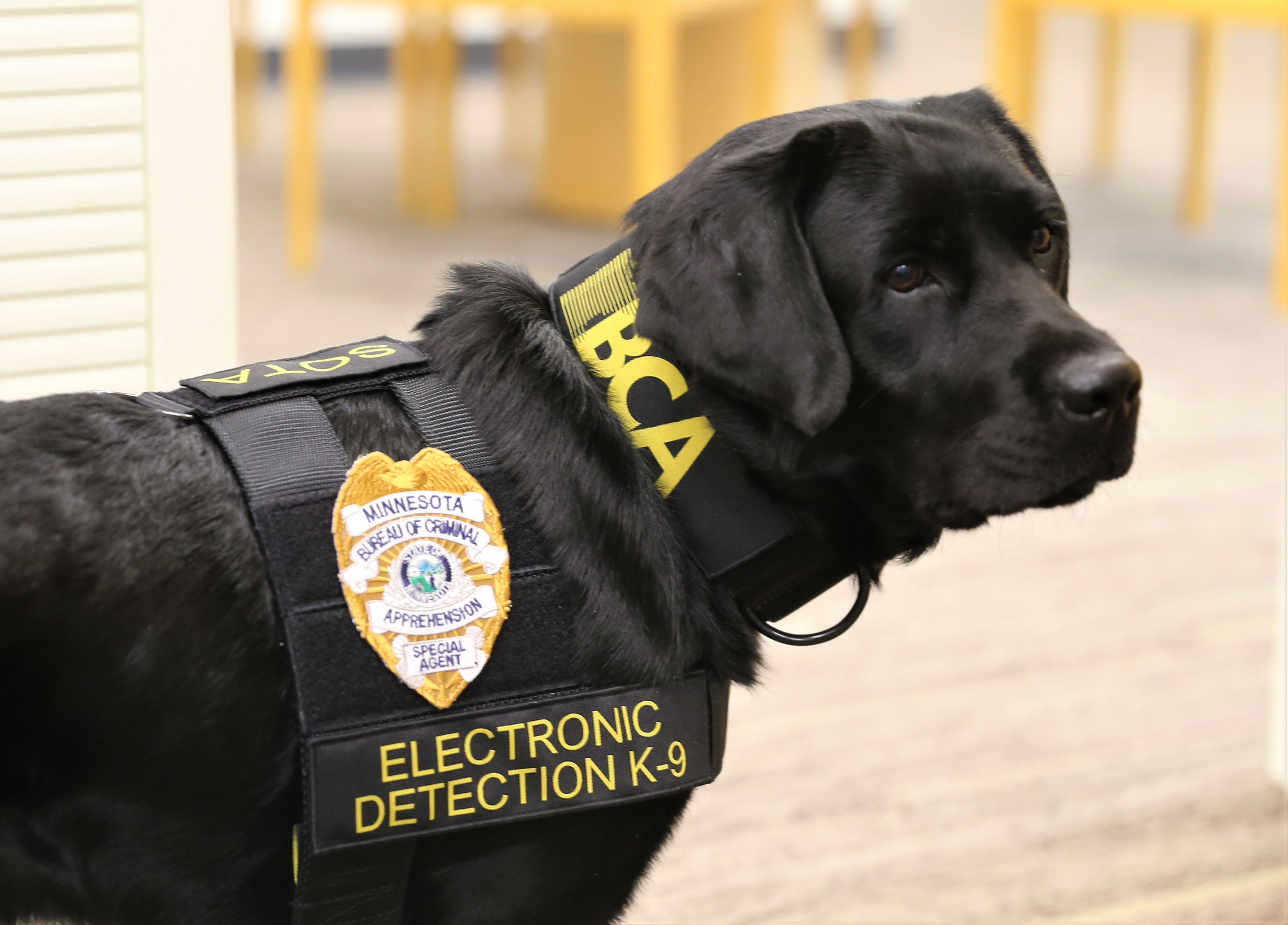 BCA K-9 Sota