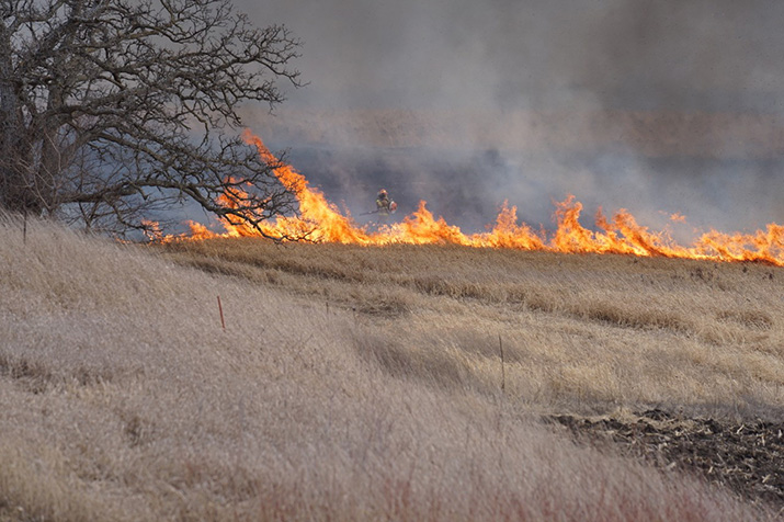 Grass on fire and a  single firefighter