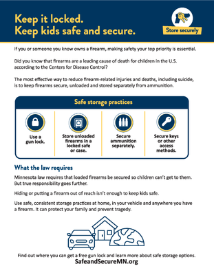 Safe Storage flyer for schools
