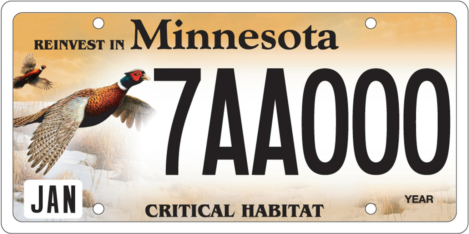 Sample of a Critical Habitat Pheasant license plate