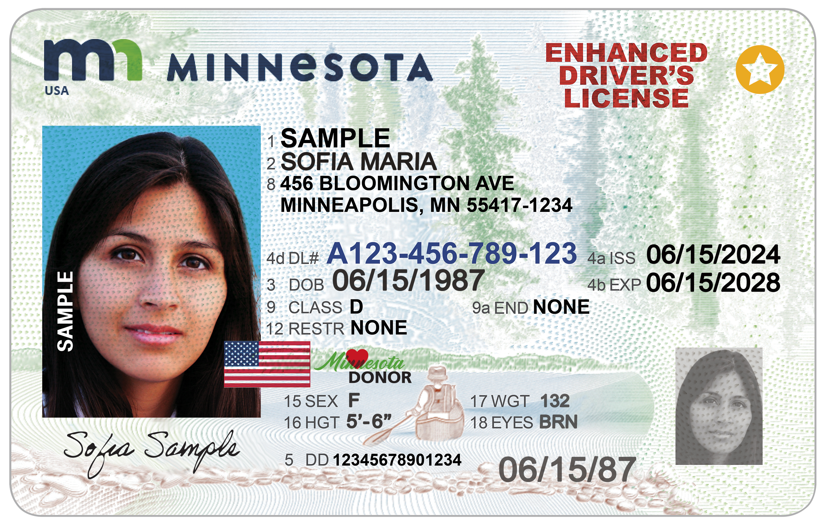 Image of enhanced drivers license with star in the corner and U.S. flag near the photo.