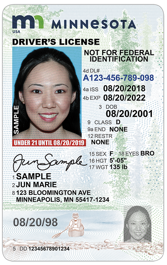 Standard Class D Under 21 driver's license