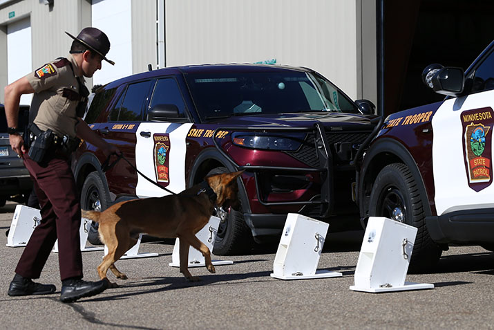 Minnesota State Patrol K-9 Robie and his handler searching boxes on the ground.