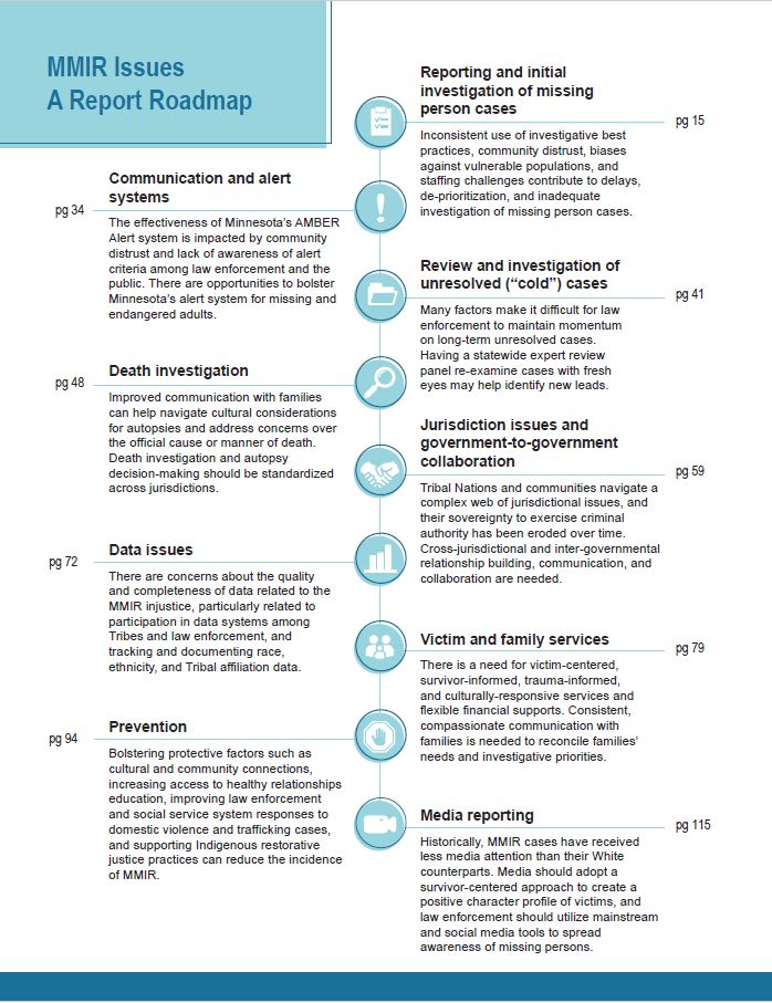 MMIR Issues: Wilder Research Report Roadmap