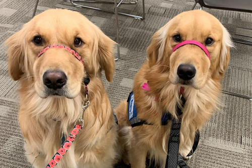 Sisters
